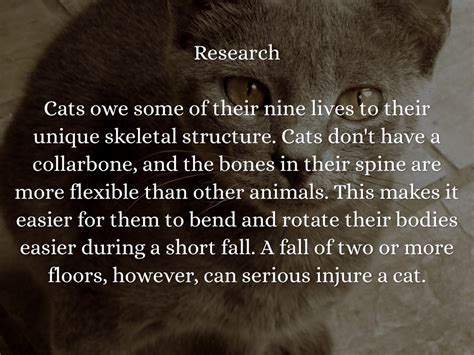 Which are features of lyric poetry? Choose three answers. And why do cats always land on their feet?